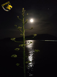 Vollmond über Sami, ein Smartphone-Foto